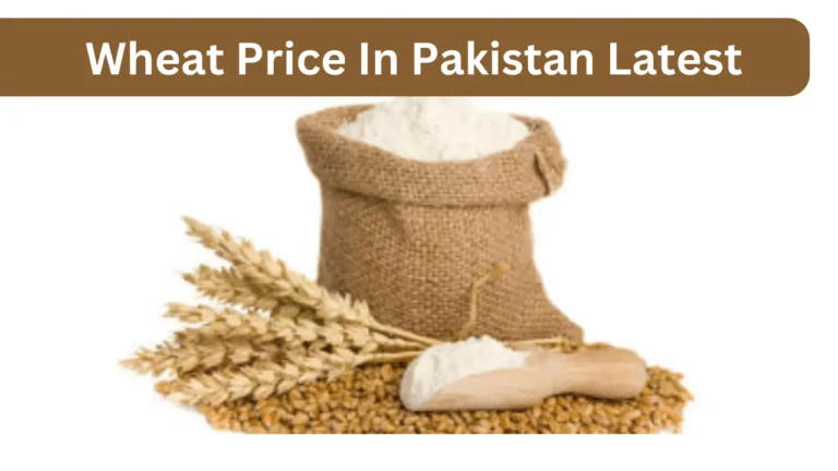 Wheat Price In Pakistan 2023 Latest Wheat Rate