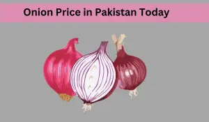 Onion Price in Pakistan Today 2023 Accurate and Latest Rate