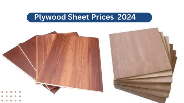 Plywood Sheet Prices In Pakistan 2024 And Best Properties