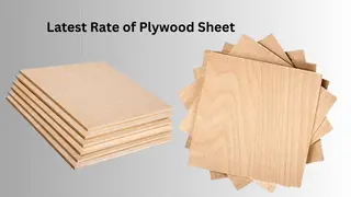 Plywood Sheet Prices 
