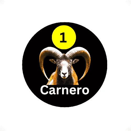 01 Carnero