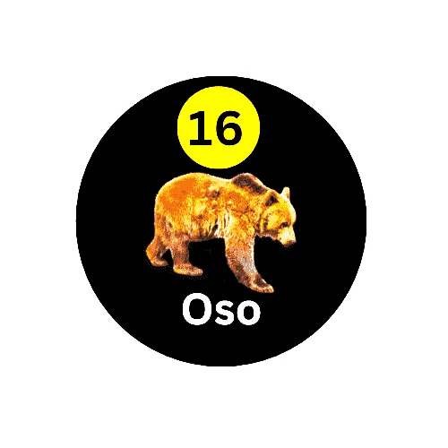 16 Oso