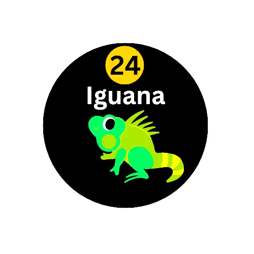 24 Iguana