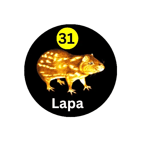 31 Lapa