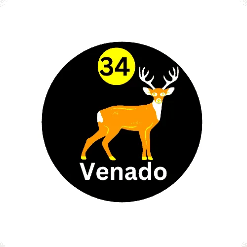 34 Venado